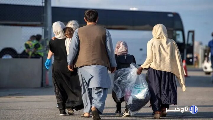۷۸ نفر اتباع بیگانه در لرستان جمع‌آوری شدند