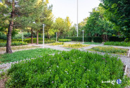 ۸۰ هکتار از فضای سبز شهر خرم‌آباد با آب شرب آبیاری می‌شود