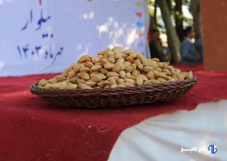 «بادام مامایی» گنجی در دل کوهستان