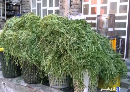 بانویی که مزرعه را کارخانه کرد!