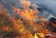 تلاش برای التهاب‌آفرینی در کردستان توسط مزدوران رسانه‌ای اسرائیل