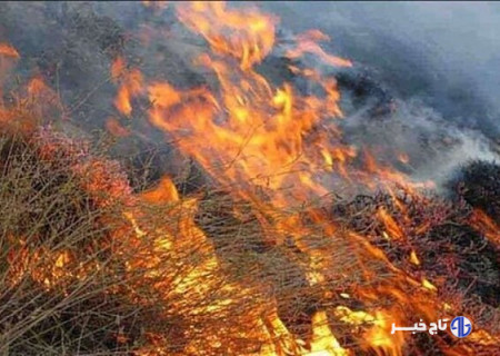 تلاش برای التهاب‌آفرینی در کردستان توسط مزدوران رسانه‌ای اسرائیل