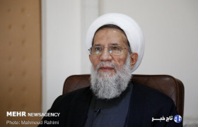 حجت‌الاسلام محمدحسنی: ملتی که اراده‌اش قوی بماند، پیروز است