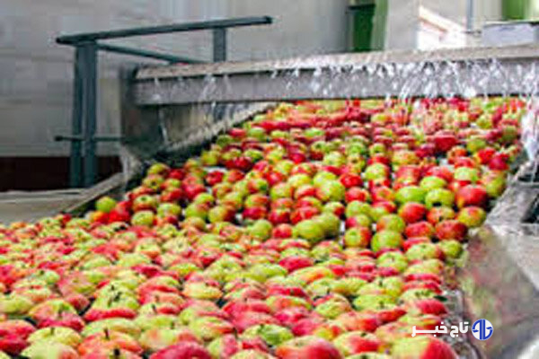شهرک صنایع غذایی در ایجرود ایجاد می‌شود