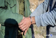 شکارچی متخلف ۳ آهوی ماده را در اسفراین از پا درآورد