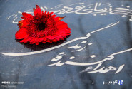 مرگ مغزی پایان نیست؛ آغاز ۸ زندگی تازه است