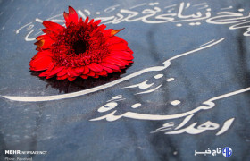 مرگ مغزی پایان نیست؛ آغاز ۸ زندگی تازه است