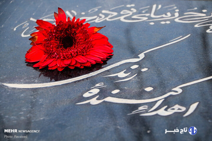 مرگ مغزی پایان نیست؛ آغاز ۸ زندگی تازه است