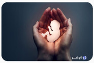 نجات ۴۰۴ نوزاد از سقط غیرقانونی با افزایش مراکز نفس در فارس