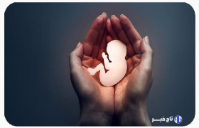 نجات ۴۰۴ نوزاد از سقط غیرقانونی با افزایش مراکز نفس در فارس