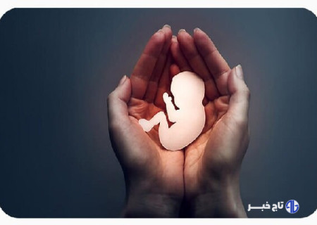 نجات ۴۰۴ نوزاد از سقط غیرقانونی با افزایش مراکز نفس در فارس
