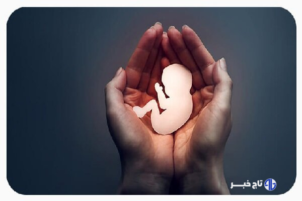 نجات ۴۰۴ نوزاد از سقط غیرقانونی با افزایش مراکز نفس در فارس