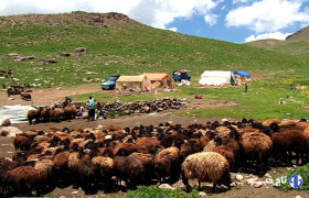 نغمه کوچ و سکوت، روایت زندگی و مشکلات عشایر فارس