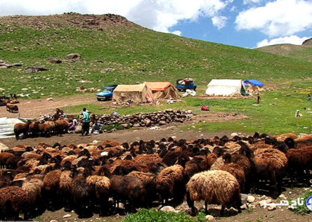 نغمه کوچ و سکوت، روایت زندگی و مشکلات عشایر فارس