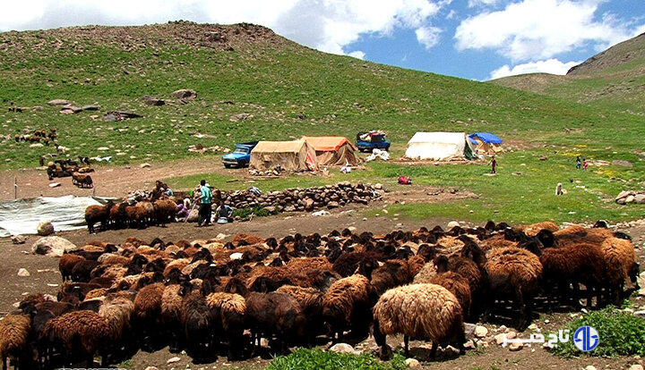 نغمه کوچ و سکوت، روایت زندگی و مشکلات عشایر فارس