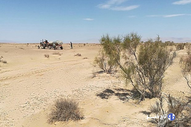 واکاوی مهر از علل تشدید گردوغبار در قم و راهکارهای برون رفت این چالش