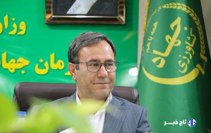 ۴۰ هکتار گلخانه جدید در لرستان احداث می‌شود