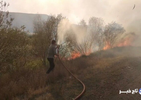 آتش‌سوزی درختان در حوالی روستای «کوخالو» تیکمه‌داش مهار شد