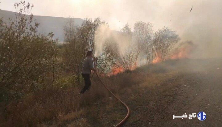 آتش‌سوزی درختان در حوالی روستای «کوخالو» تیکمه‌داش مهار شد
