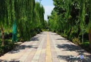 آغاز اجرای طرح پاکسازی پارک‌ها، بوستان‌ها و تفرجگاه‌ها از فردا