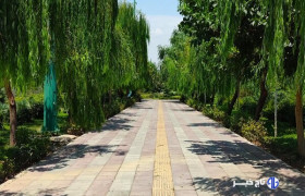 آغاز اجرای طرح پاکسازی پارک‌ها، بوستان‌ها و تفرجگاه‌ها از فردا