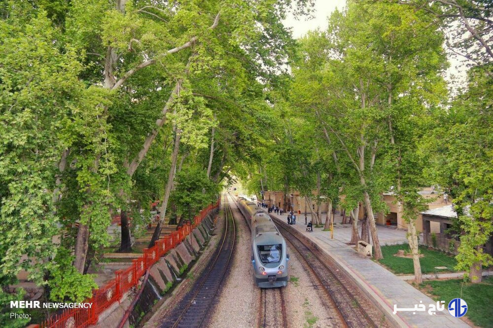 «بیشه» قصهٔ سنگ و زندگی؛ صدای این روستا را به جهان برسانیم!