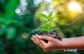 تولید بیش از ۶ میلیون اصله نهال توسط بخش خصوصی در لرستان