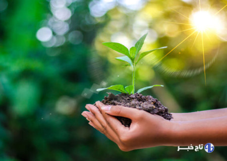 تولید بیش از ۶ میلیون اصله نهال توسط بخش خصوصی در لرستان