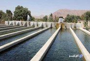 تولید ۱۴۰ تن ماهی در کوهدشت