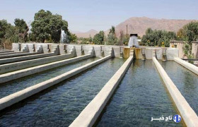 تولید ۱۴۰ تن ماهی در کوهدشت