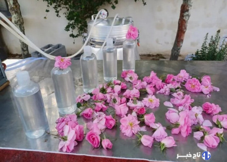 ثبت آئین گلاب‌گیری بروجرد در فهرست رویدادهای گردشگری ایران