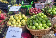جشنواره سیب در مشگین‌شهر برگزار شد