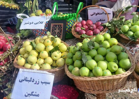 جشنواره سیب در مشگین‌شهر برگزار شد