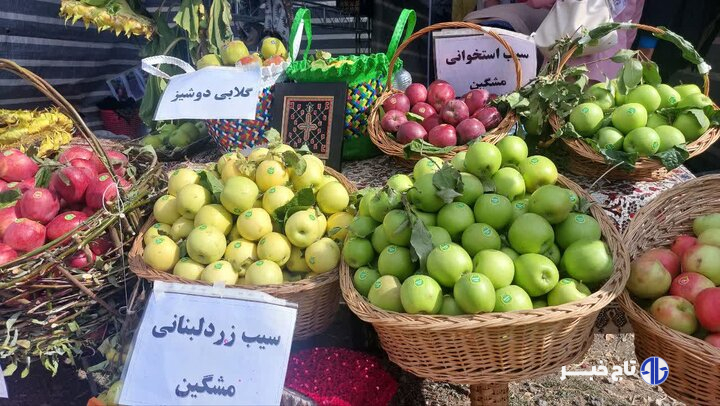 جشنواره سیب در مشگین‌شهر برگزار شد