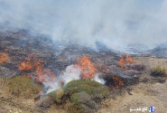 حریق در ۳۵ هکتار از مراتع جنگل نخاب شهرستان خوسف