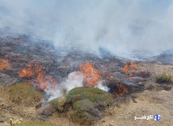 حریق در ۳۵ هکتار از مراتع جنگل نخاب شهرستان خوسف