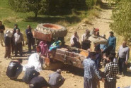 سقوط مرگبار تراکتور در الیگودرز