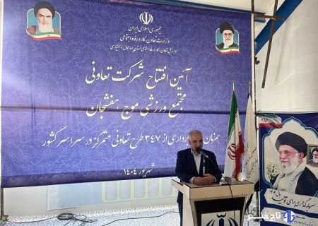 سهم تعاون از اقتصاد کشور کمتر از ۷ درصد است