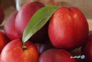 میوه‌ای بی‌نظیر برای تقویت کبد و تصفیه خون