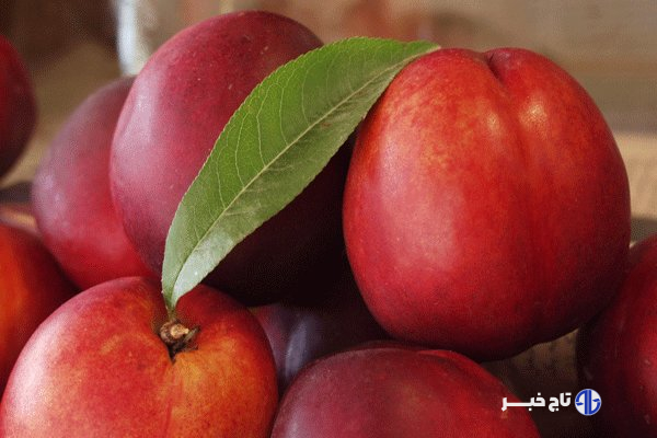 میوه‌ای بی‌نظیر برای تقویت کبد و تصفیه خون