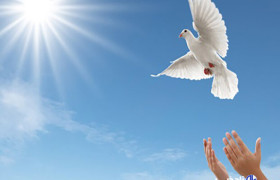 پویش «به عشق محمد (ص) می بخشم» در البرز آغاز به کار کرد