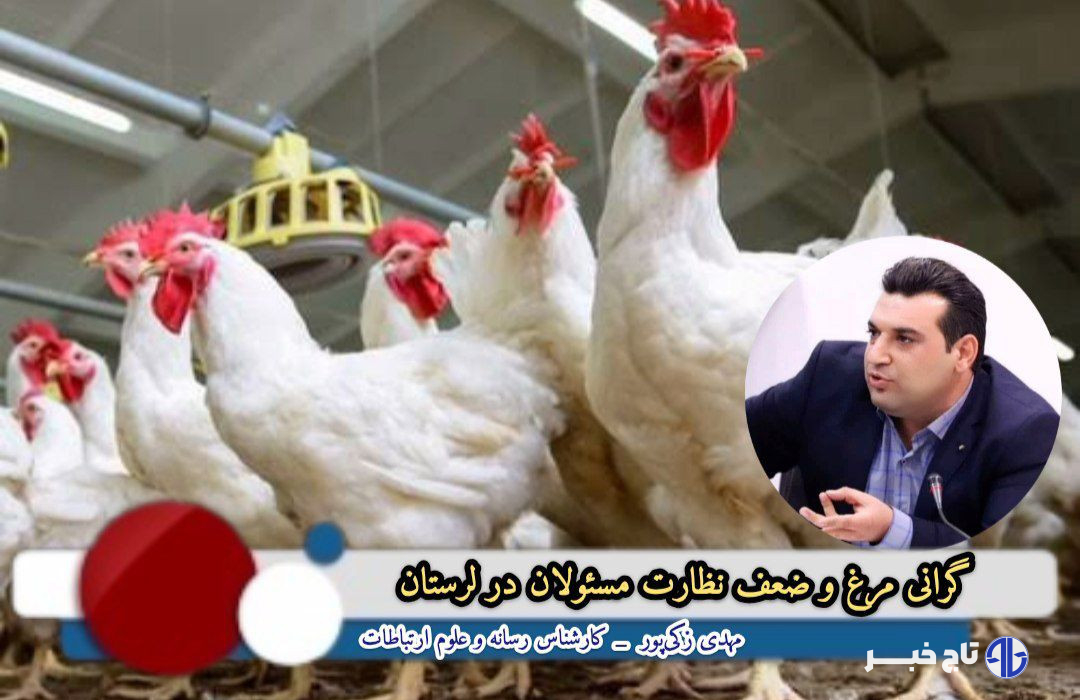 گرانی مرغ و ضعف نظارت مسئولان در لرستان+ راهکارها و پیشنهادات