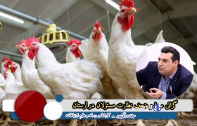 گرانی مرغ و ضعف نظارت مسئولان در لرستان+ راهکارها و پیشنهادات