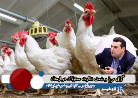 گرانی مرغ و ضعف نظارت مسئولان در لرستان+ راهکارها و پیشنهادات
