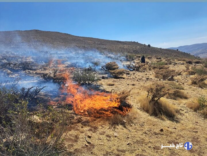جمشیدی: عامل آتش‌سوزی در مراتع شول سپیدان دستگیر شد