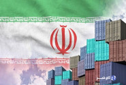 رجب نژاد: شعب سازمان توسعه تجارت در ۱۰ کشور جهان راه اندازی می شود