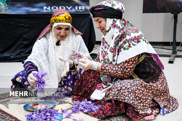 زعفران در بورس، کشاورز در بن‌بست؛ طلای سرخ در دوراهی صادرات و فرآوری