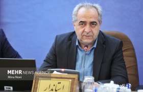 سرمست: فرش تبریز سرمایه‌ای اقتصادی برای آینده است