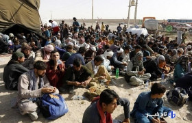 سرهنگ لکزایی: ۲۳۹ نفر اتباع بیگانه غیر مجاز در چابهار جمع آوری شدند