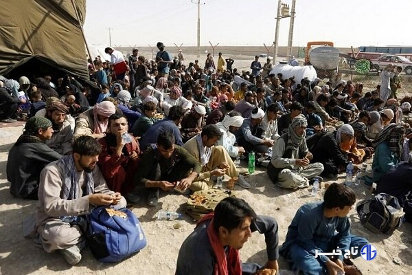سرهنگ لکزایی: ۲۳۹ نفر اتباع بیگانه غیر مجاز در چابهار جمع آوری شدند